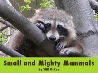 Small_and_Mighty_Mammals